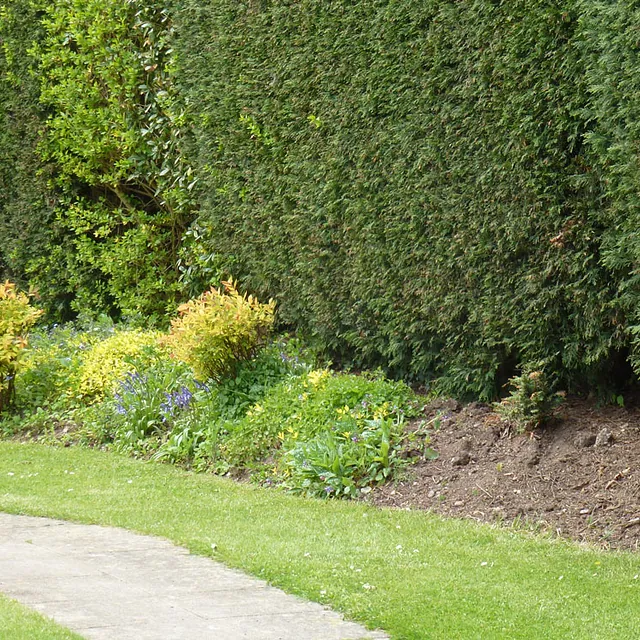 beechcroft house gardens