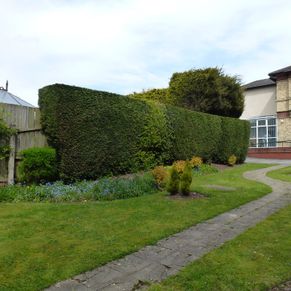 beechcroft house gardens