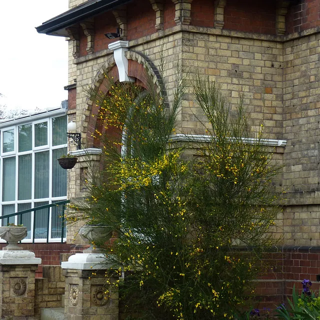 beechcroft house