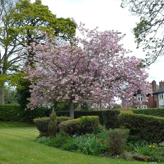beechcroft house gardens