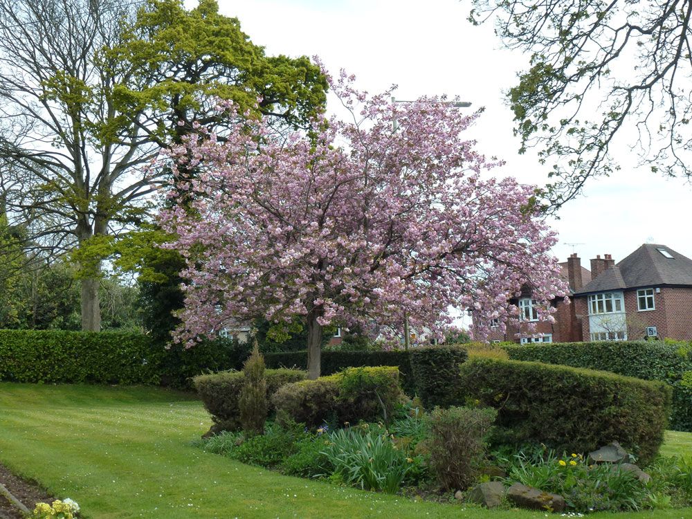 beechcroft house gardens